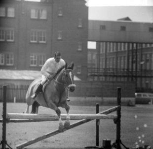 Internationaal Concours Hippique te Enschede, Anton Ebben op Nabab, Bestanddeelnr 917-9018