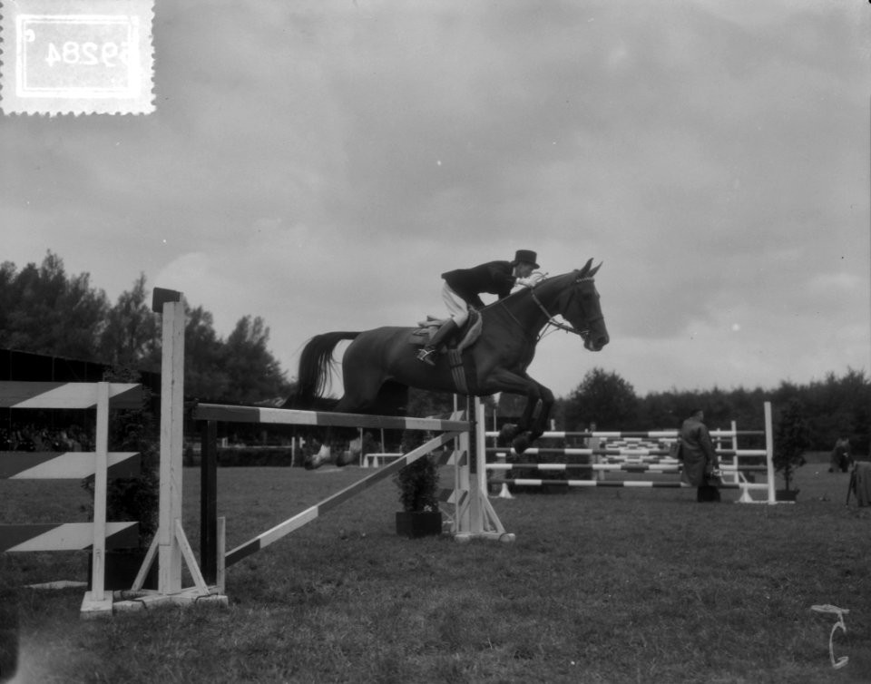 Internationaal Concours Hippique Rotterdam, H. Kohler Duitsland, Bestanddeelnr 905-9284