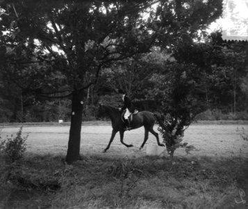 Internationaal Concours Hippique Rotterdam, mejuffrouw Eysvogel , Nederland, Bestanddeelnr 905-9292