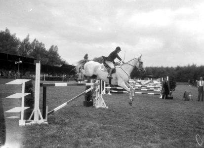 Internationaal Concours Hippique Rotterdam, Lady Williams Engeland, Bestanddeelnr 905-9286