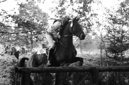 Internationale Military te Boekelo, paarden in aktie, Bestanddeelnr 931-1064