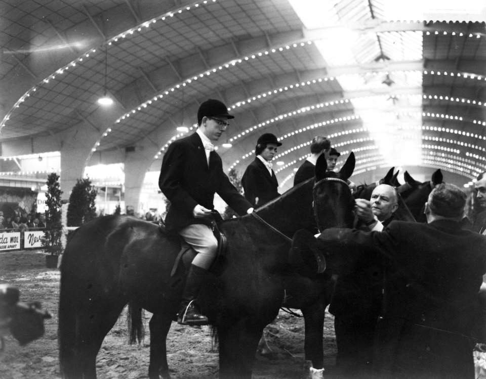 Internationaal Indoor concours hippique te Amsterdam, Bestanddeelnr 910-0569