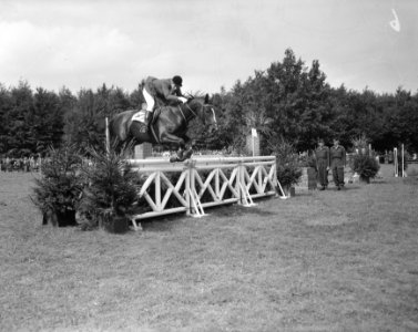Internationaal Concours Hippique CHIO Rotterdam Mej M Koster (Nederland) op L, Bestanddeelnr 907-9694