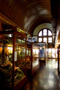 Interior - Fairbanks Museum and Planetarium - DSC04211