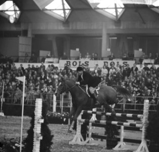 Internationaal Concours Hippique in RAI. De Duitser H. G. Winkler op Romanus, Bestanddeelnr 915-6966