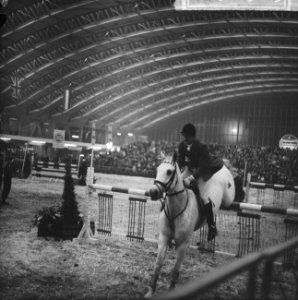 Internationaal Concours Hippique in RAI. De Duitser H. G. Winkler op Romanus, Bestanddeelnr 915-6965