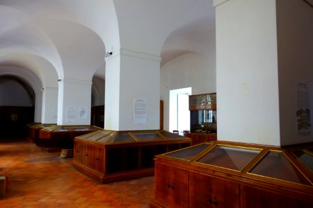 Interior - Museu Botânico da Universidade de Coimbra - University of Coimbra - Coimbra, Portugal - DSC09000