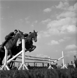 Internationaal Concours Hippique Zwolle, Bestanddeelnr 902-3040