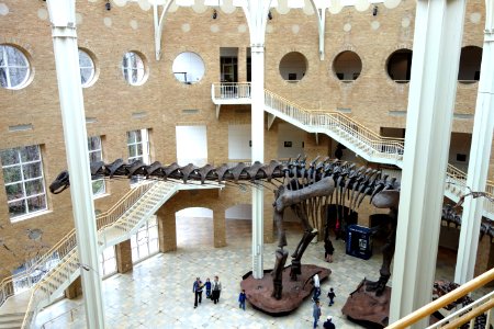 Interior - Fernbank Museum of Natural History - DSC00133