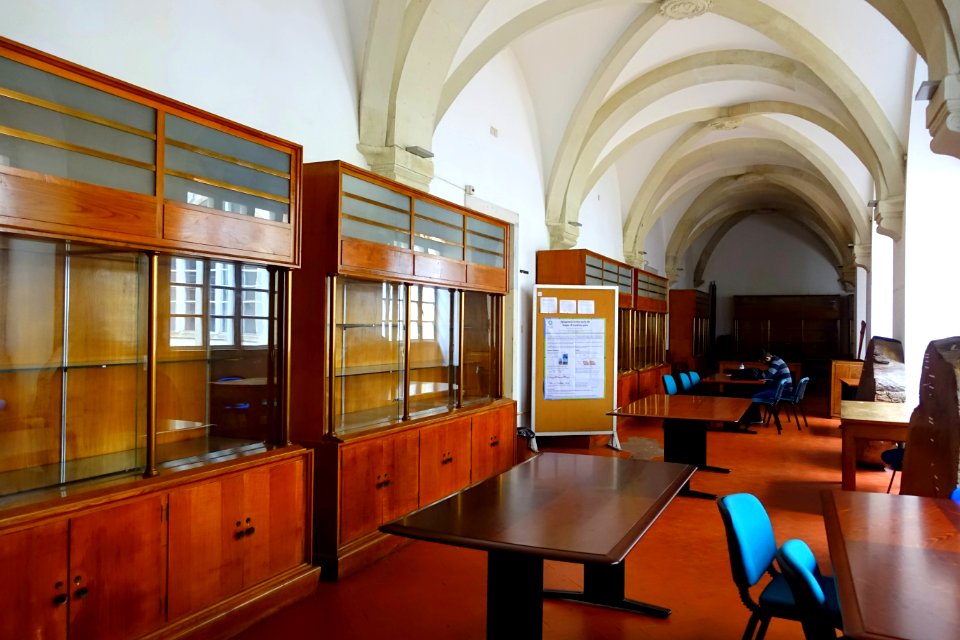 Interior - Museu Botânico da Universidade de Coimbra - University of Coimbra - Coimbra, Portugal - DSC09020