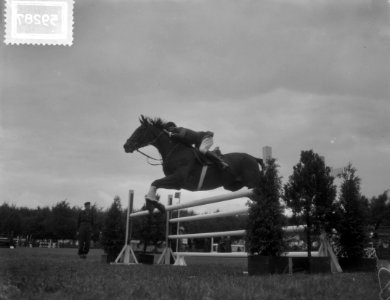 Internationaal Concours Hippique Rotterdam, mejuffrouw J. Bonnand , Frankrijk, Bestanddeelnr 905-9287