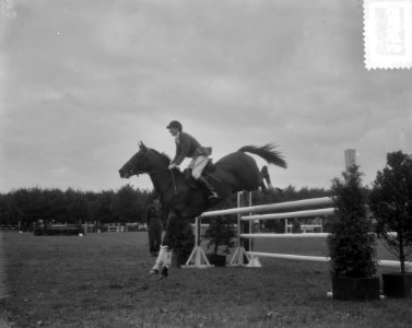Internationaal Concours Hippique Rotterdam, N. Perone Italie, Bestanddeelnr 905-9283
