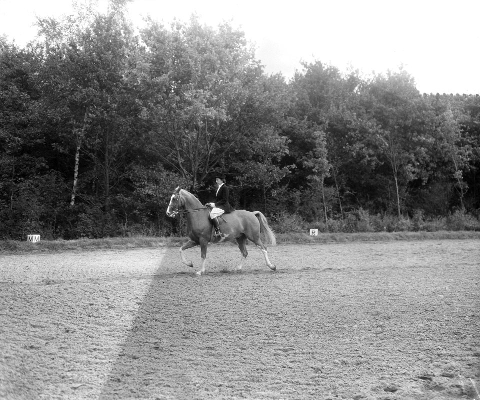 Internationaal Concours Hippique Rotterdam, mejuffrouw Eysvogel , Nederland, Bestanddeelnr 905-9291