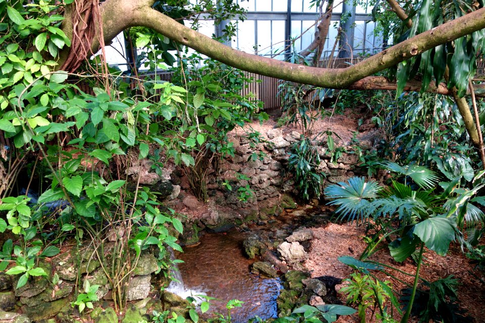 Interior - National Aviary - DSC05831