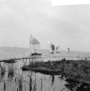 Internationale Hollandweek te Loosdrecht, Bestanddeelnr 911-4670