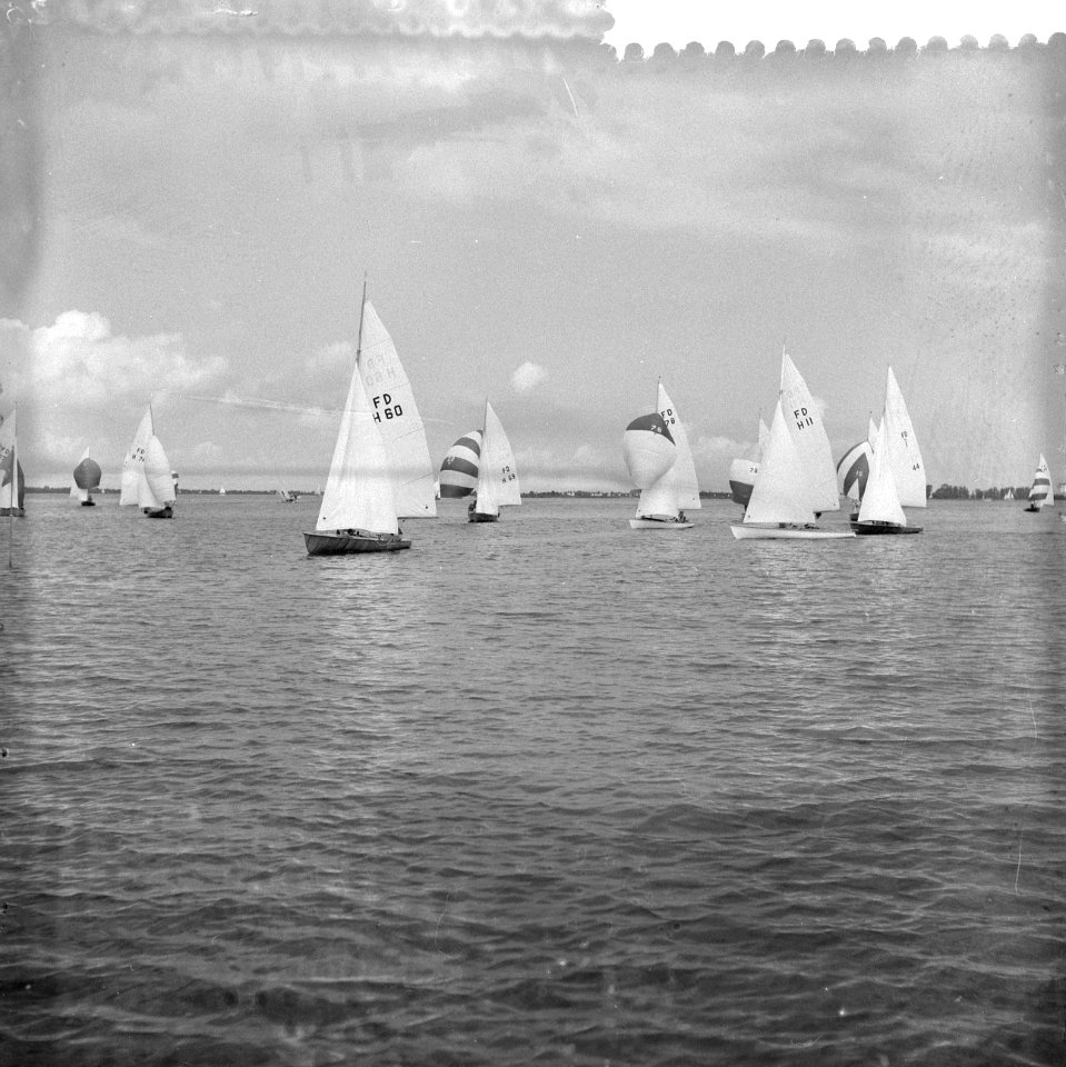 Internationale Hollandweek 1959 aan de Loosdrechtse plassen, Bestanddeelnr 910-5634