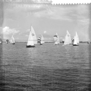 Internationale Hollandweek 1959 aan de Loosdrechtse plassen, Bestanddeelnr 910-5634