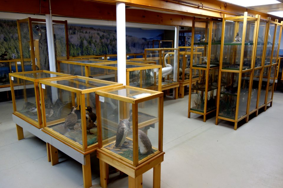 Interior - Southern Vermont Natural History Museum - DSC08474