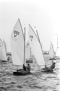 Internationale Hollandweek Loosdrecht (start), Bestanddeelnr 916-7077