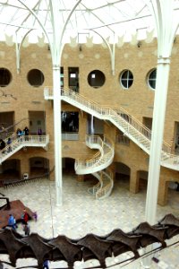 Interior - Fernbank Museum of Natural History - DSC09923