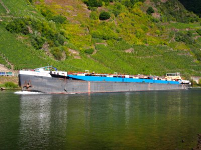 Internautic III on the Mosel, ENI 08023112, bild 1