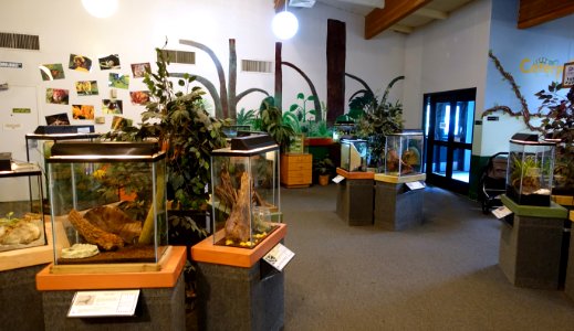 Interior, Insect Zoo - San Francisco Zoo - San Francisco, CA - DSC03477