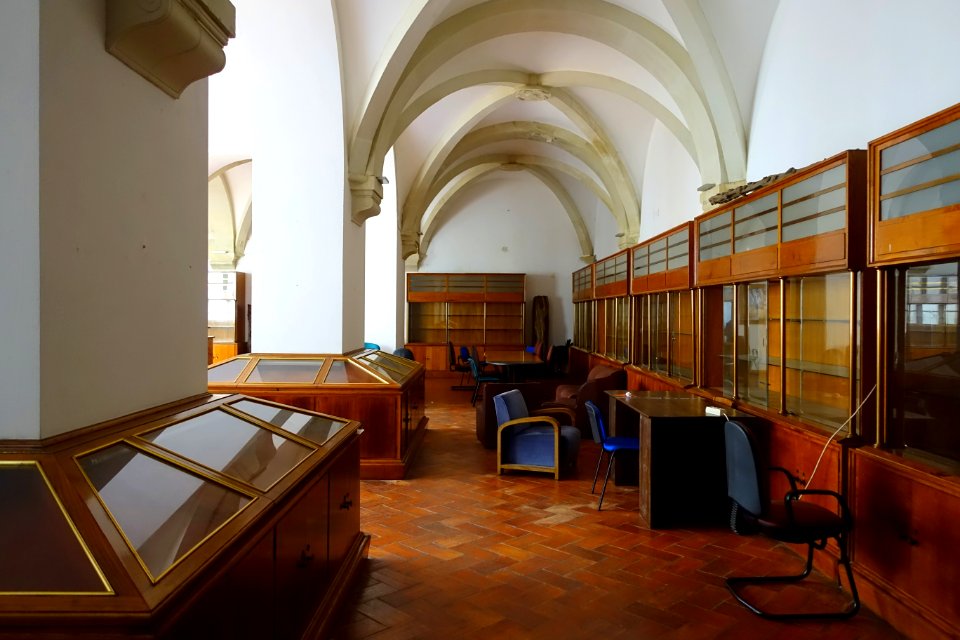 Interior - Museu Botânico da Universidade de Coimbra - University of Coimbra - Coimbra, Portugal - DSC09015