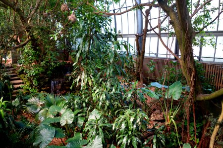 Interior - National Aviary - DSC05808