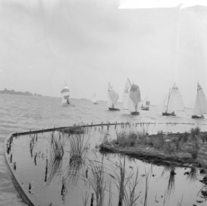 Internationale Hollandweek te Loosdrecht, Bestanddeelnr 911-4668