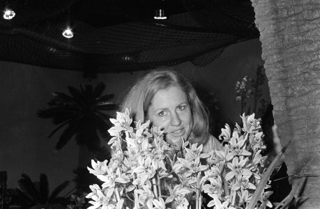 Internationale Orchideeententoonstelling in Koninklijk Instituut voor de Tropen…, Bestanddeelnr 924-3261