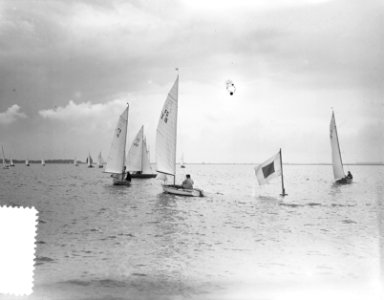 Internationale Hollandweek 1955, zeilen op IJsselmeer, Bestanddeelnr 907-2732