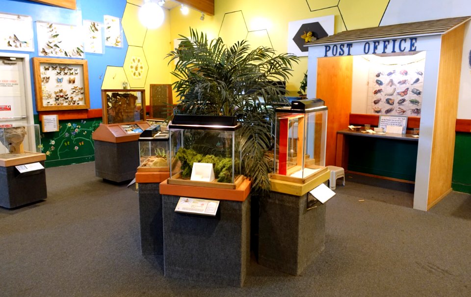 Interior, Insect Zoo - San Francisco Zoo - San Francisco, CA - DSC03489