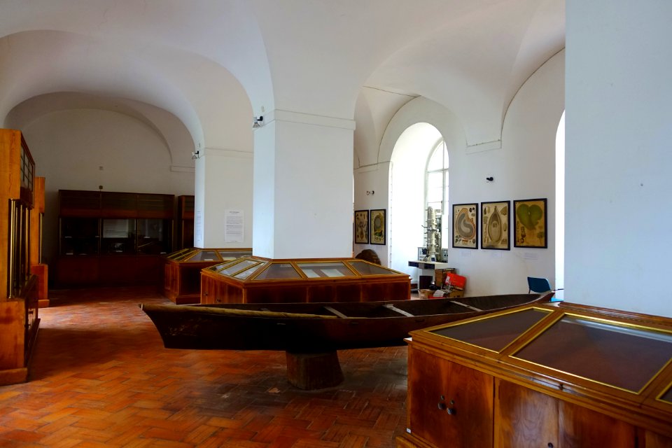 Interior - Museu Botânico da Universidade de Coimbra - University of Coimbra - Coimbra, Portugal - DSC09016