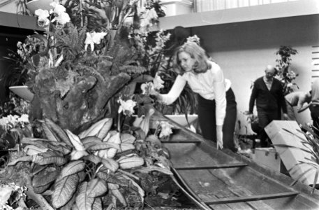 Internationale Orchideeëntentoonstelling in Koninklijk Instituut voor de Tropen…, Bestanddeelnr 924-3265