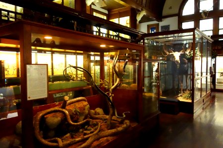 Interior - Fairbanks Museum and Planetarium - DSC04213