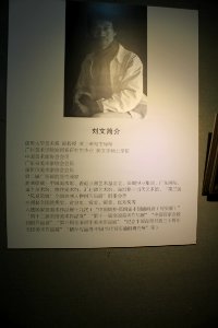 Introduction of Liu Wen