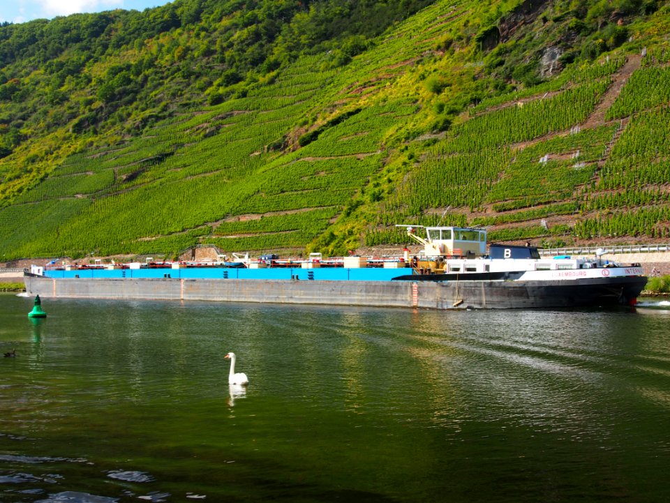 Internautic III on the Mosel, ENI 08023112, bild 4
