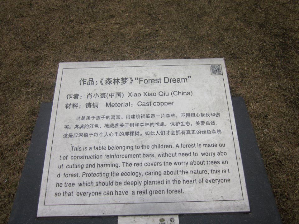 Introduction of Forest Dream by Xiao Xiaoqiu