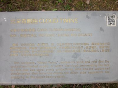 Introduction of Cloud Twins by Carol Turner