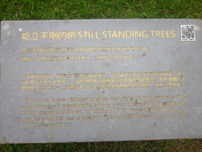 Introduction of Still Standing Trees by Sakari Peltola