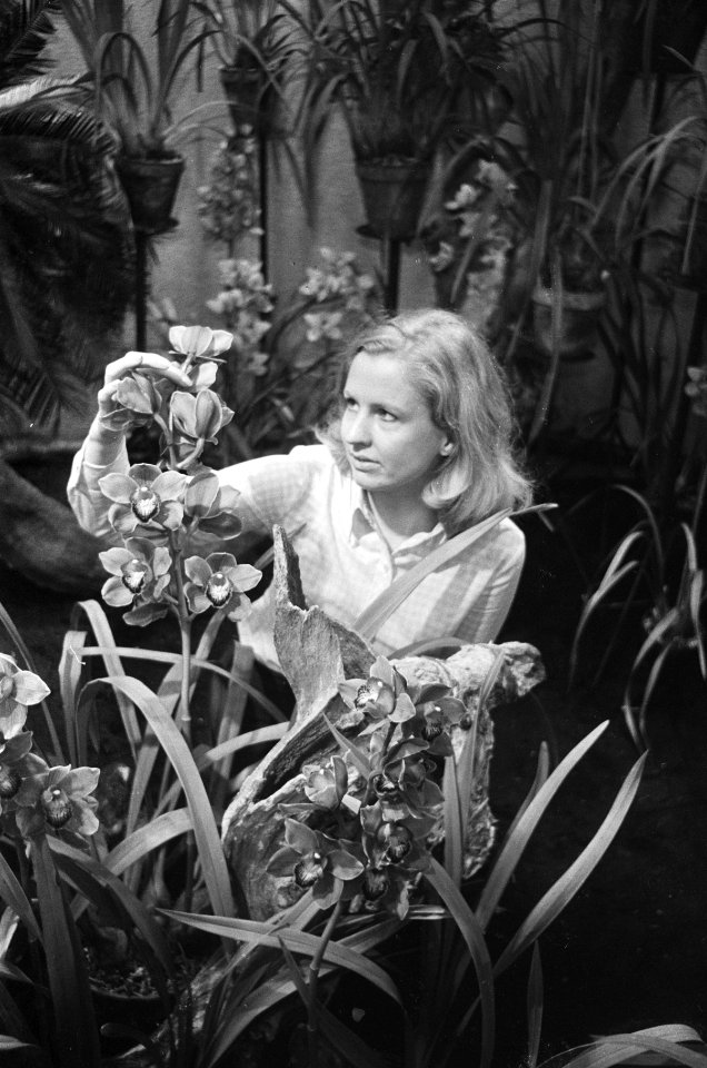 Internationale Orchideeententoonstelling in Koninklijk Instituut voor de Tropen…, Bestanddeelnr 924-3262