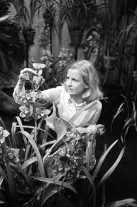Internationale Orchideeententoonstelling in Koninklijk Instituut voor de Tropen…, Bestanddeelnr 924-3262