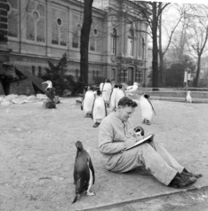 Inventarissen in Artis, een van de verzorgers bij de pinguins, Bestanddeelnr 915-8893