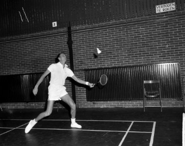 Internationale badmintonkampioenschappen te Haarlem, Alan Parson ( Zuid Afrika ), Bestanddeelnr 917-4266