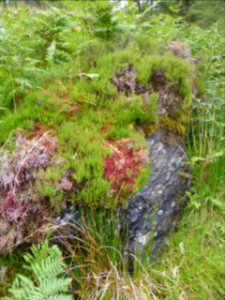 Inverarnan-Tyndrum-15
