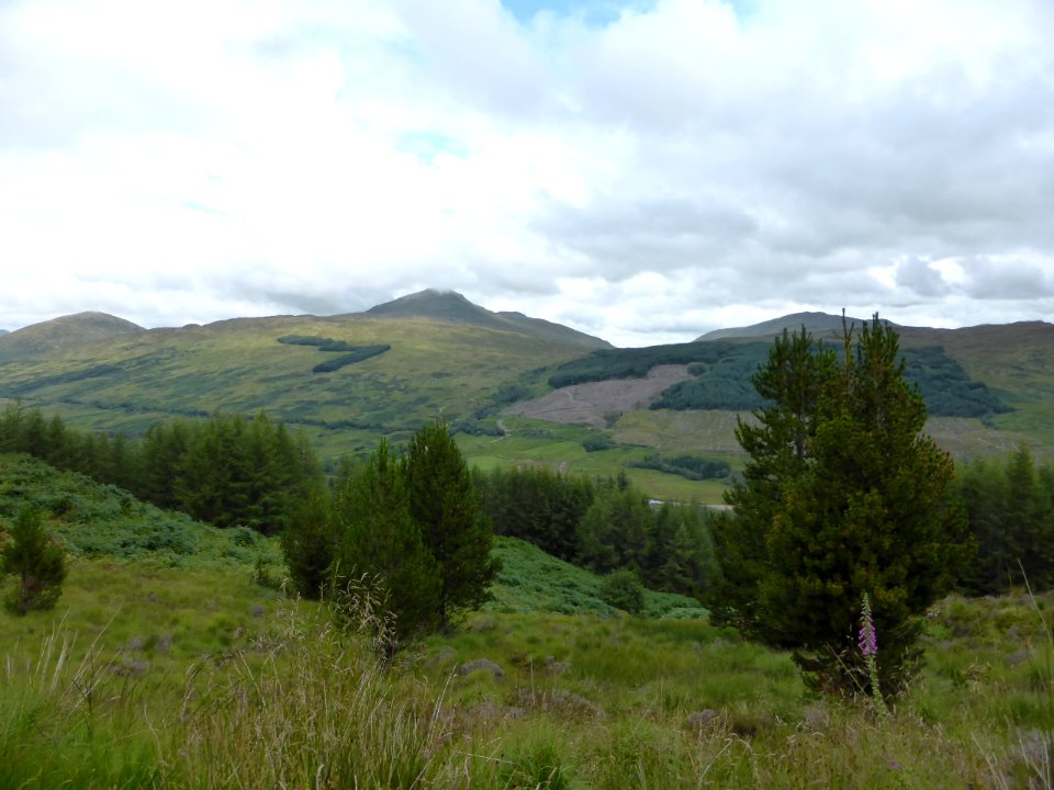 Inverarnan-Tyndrum-14