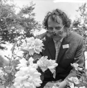 Internationaal Rozenconcours in Den Haag . Jurylid Harry Wheatcroft aan het werk, Bestanddeelnr 915-3581