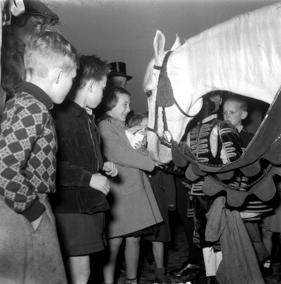 Intocht Sinterklaas in Amsterdam. Prinses Margriet bij het paard van Sinterklaas, Bestanddeelnr 906-1216