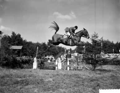 Internationaal Springconcours in Rotterdam, W Gunther, Bestanddeelnr 910-6477