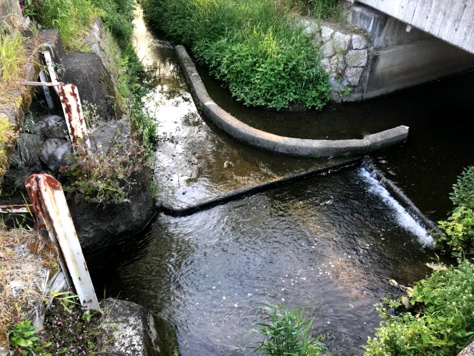 Intersection of rivers 20200513